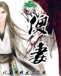 傻妻丝柳免费阅读