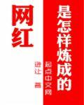 网红是怎样炼成的电视剧