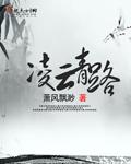 凌云青路免费