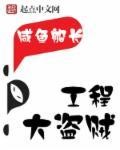 tbc盗贼工程头
