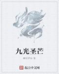九圣光卫士阵容怎么玩