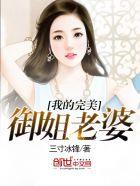 我的完美御姐老婆TXT全文阅读