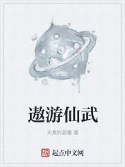 遨游仙武_