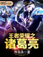 王者荣耀诸葛亮鹤羽星尊
