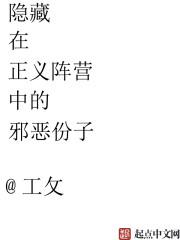 正义的阴影