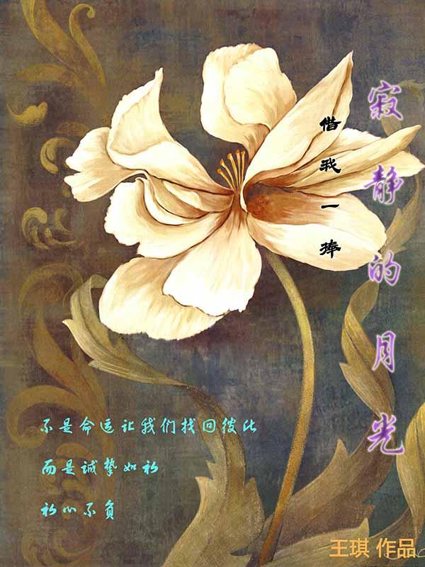 借我一捧寂静的光 芦芽