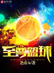 至尊是什么公司