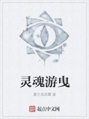灵魂游记