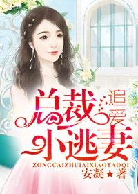 总裁追爱小逃妻 全集