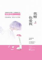 我赌你爱我可是我输了歌词