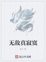 无敌真寂寞辰北