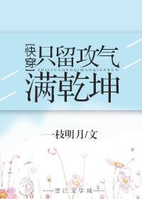 只留攻气满乾坤晋江文学城