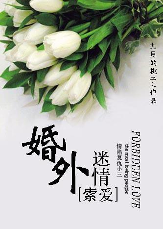 索爱婚外迷情 第4章