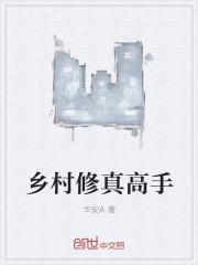 乡村修真排行榜
