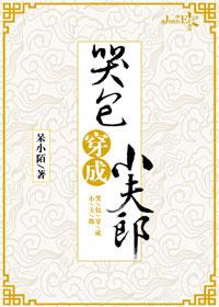 哭包穿成小夫郎资源