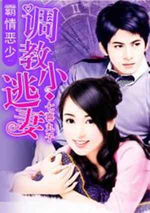 宠婚小逃妻免费阅读
