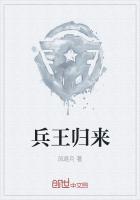 叶枫柳芊芊兵王归来
