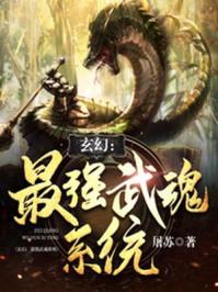 海贼王之最强武魂系统