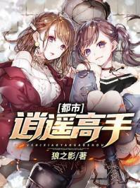 都市逍遥高手女主角有几个