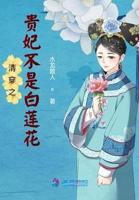清穿之贵妃快穿