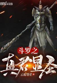 斗罗之真君显圣TXT