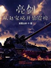 亮剑赵庄是哪一集