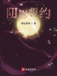 阴影誓约精校版
