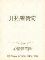 开拓者历史