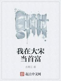 我在宋朝当大佬txt半窗