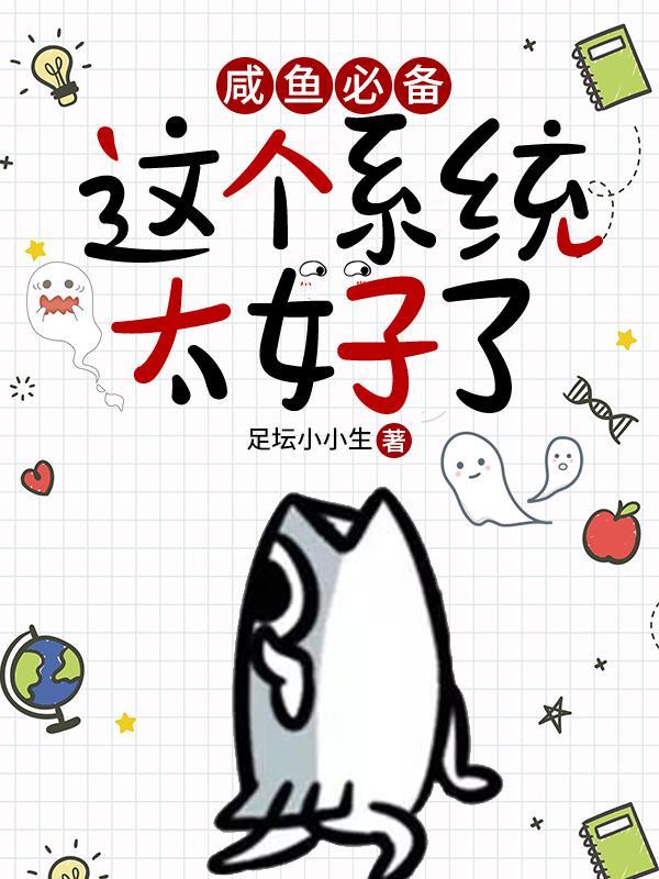 这个系统太好了盗版
