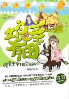 腹黑娘亲毒萌宝暗王