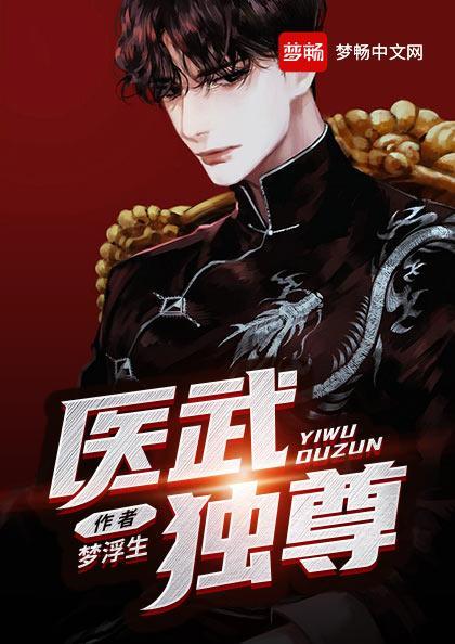 医武独尊境界划分