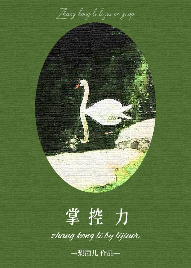 掌控力电视剧免费播放