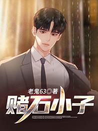 赌石小子TXT电子书