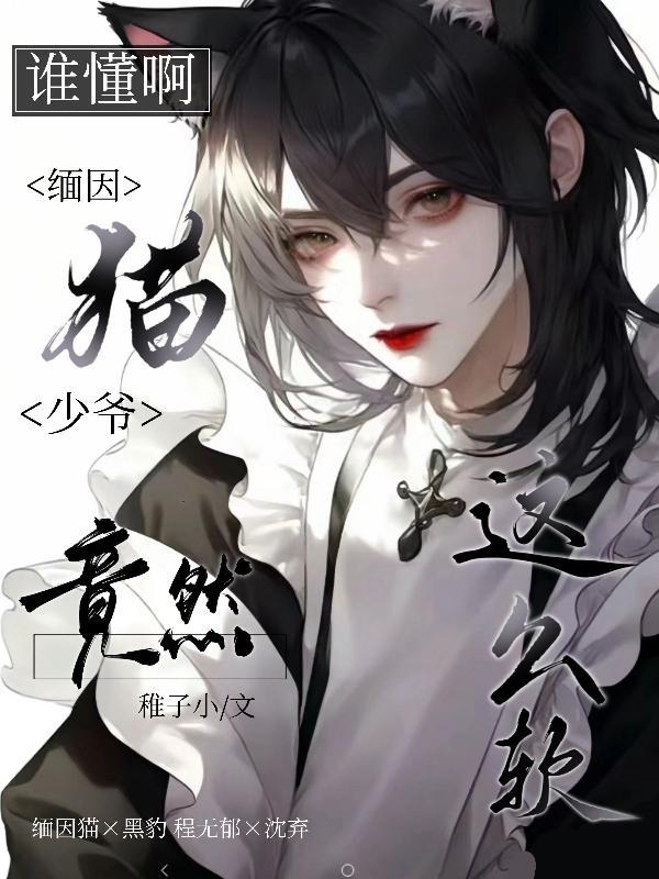 缅因猫气质