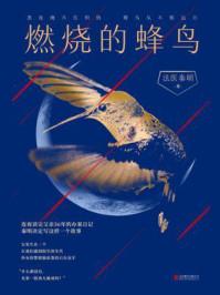 燃烧的蜂鸟3什么时候出