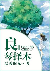 良臣择主