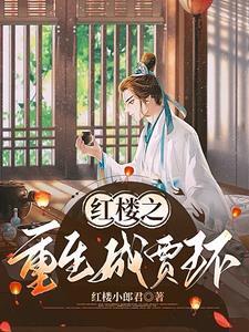 穿越红楼梦庶子