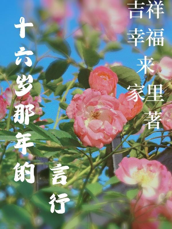 十六岁那年的花季歌曲