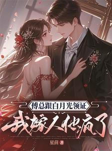 傅总跟白月光领证我嫁人他疯了大结局