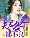 夫君个个不好攻男主哪几个