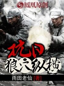 抗战狼烟四起全文阅读