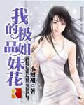 我的极品姐妹花在线阅读