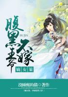 腹黑王爷不好惹