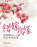 错嫁良缘免费