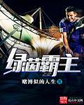 绿茵王者是什么车