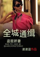 全城通缉没看懂