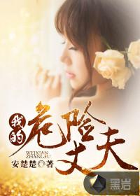 我的危险夫人剧情简介