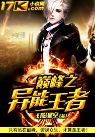 王者荣耀之颠峰王者