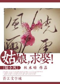陆小凤九姑娘百度百科